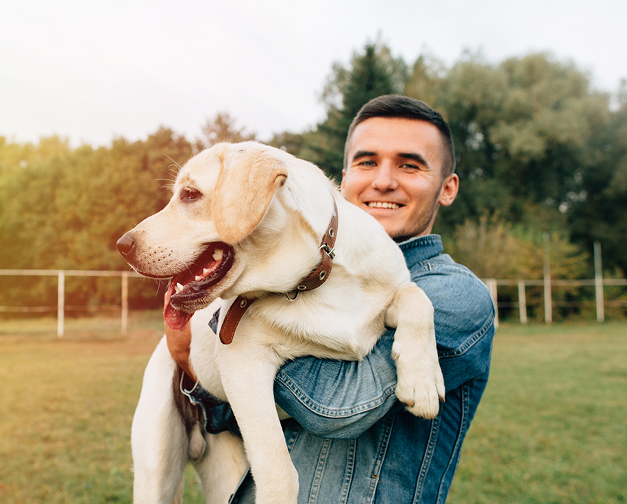 https://patrulha.pet/wp-content/uploads/2019/07/hero_image_07.png