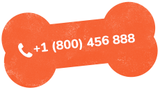 https://patrulha.pet/wp-content/uploads/2019/07/text_02.png