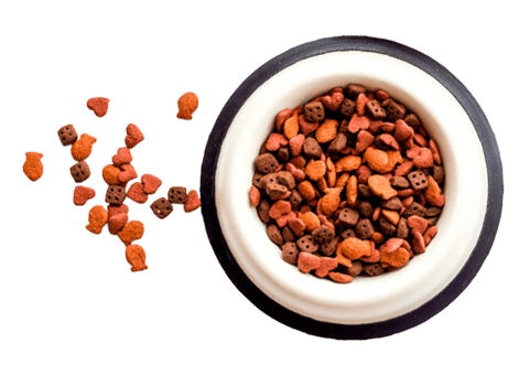 https://patrulha.pet/wp-content/uploads/2019/08/floating_food.png