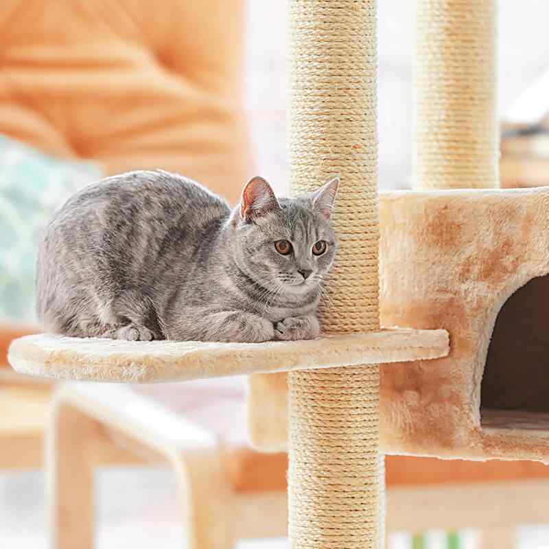 https://patrulha.pet/wp-content/uploads/2019/08/inner_gallery_11.jpg