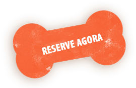 https://patrulha.pet/wp-content/uploads/2026/03/book_now_shadow.png
